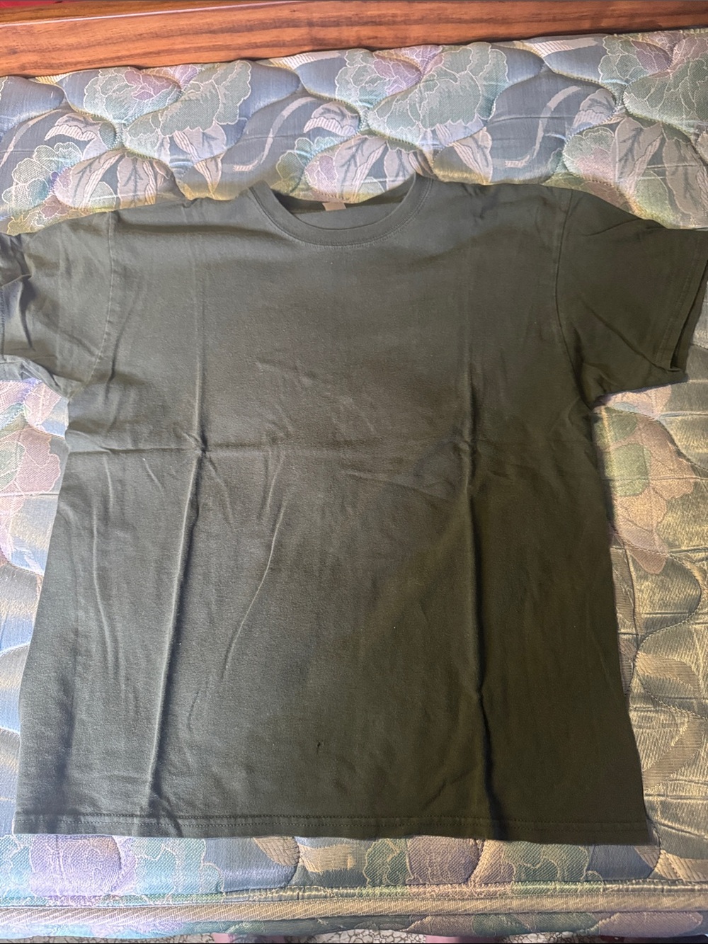 Gildan Men's Short Sleeve Crew T-Shirt in Olive Green